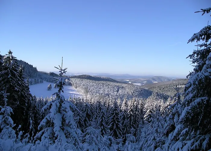 Johanna 公寓 施马尔卡尔登